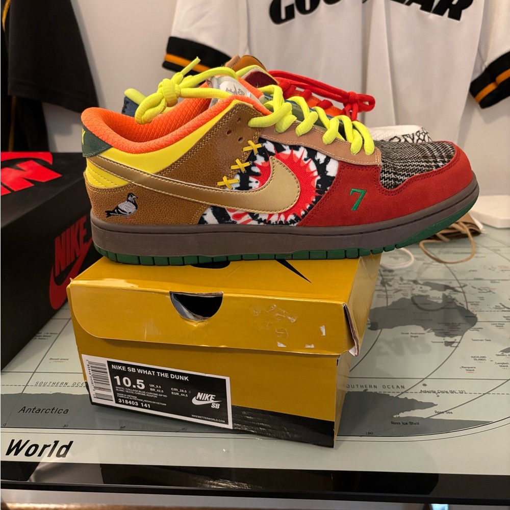 Custom Nike dunk low what the dunk